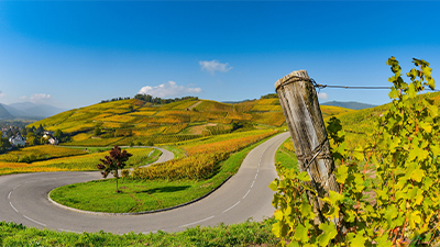 Alsace