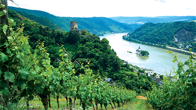 Rhen & Mosel